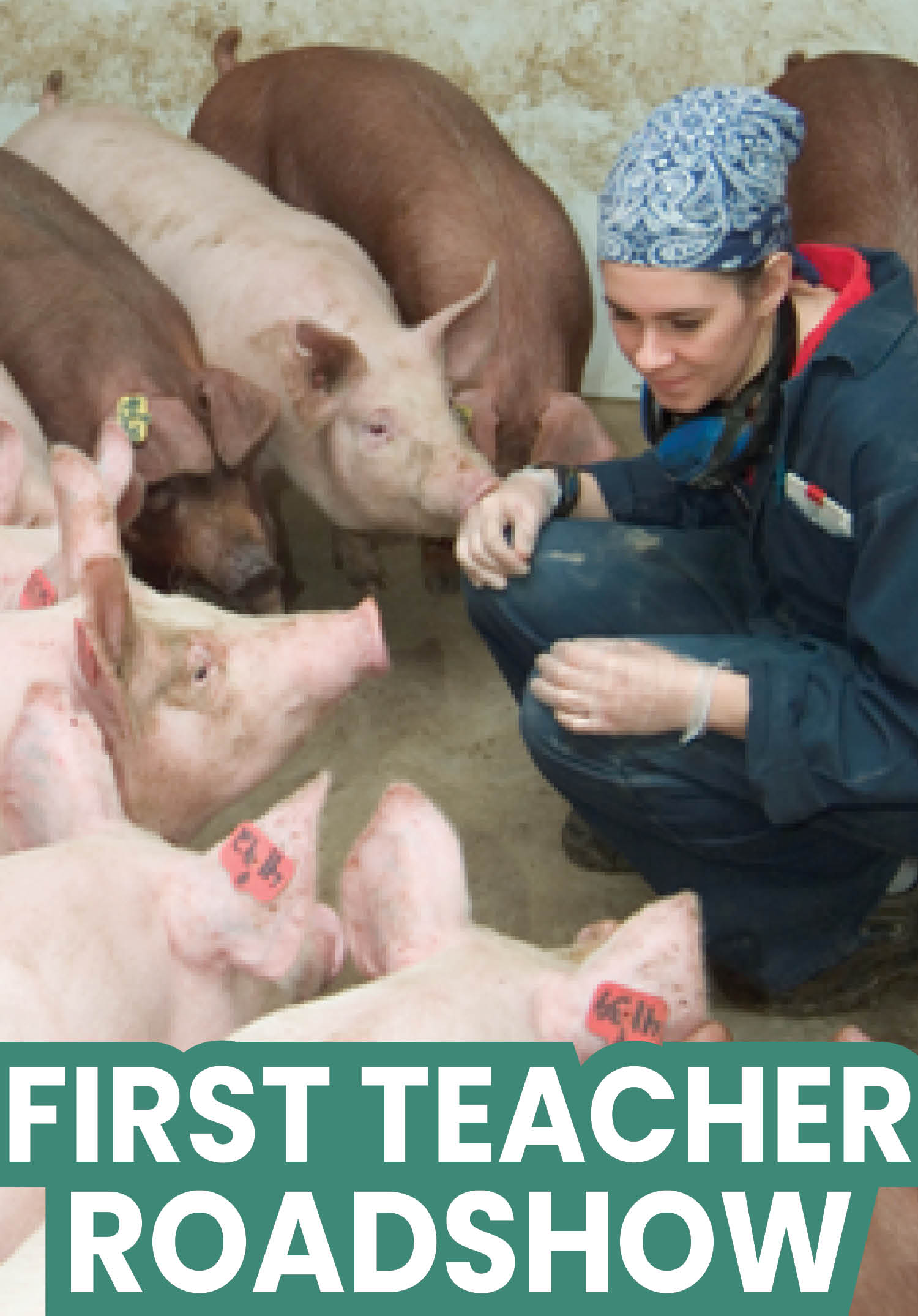 2003-Teacher Roadshow